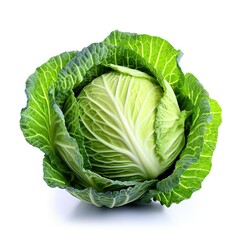 Fototapeta premium Portuguese cabbage