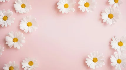 Tuinposter Minimal styled concept White daisy chamomile flowers on pale pink background Creative lifestyle Copy space flat lay top view  © Fred