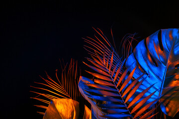 Different neon tropical leaves on black background