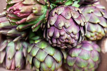 Fresh artichoke close up