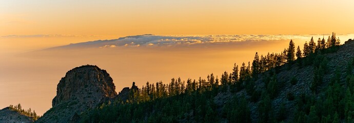 View of the island of La Palma between clouds from the splendid green pine forest.