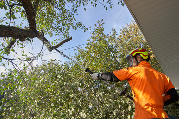 An elongated chainsaw . Pruning of trees. A worker cuts a tree with an electric saw .