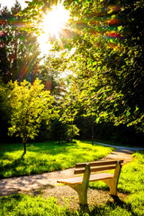 Naklejka premium old wooden park bench - austria