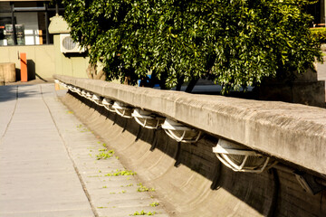 Perspectiva lineal