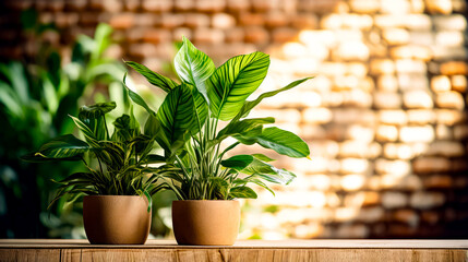 Couple of potted plants sitting on top of wooden table next to brick wall.