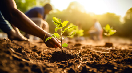 Person holding plant in the dirt with other people in the background.