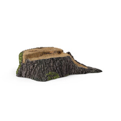 Wooden stump cut saw with green moss and ferns