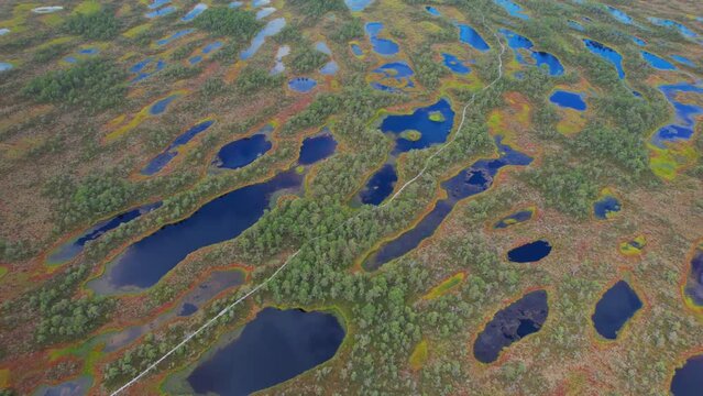Aerial video of a bog in Estonia