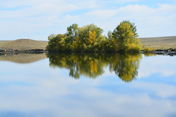 Trees reflecting on the water