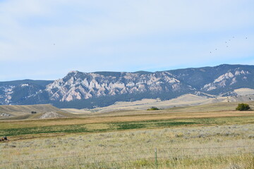 Cold Wyoming morning