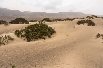 Sand dunes in Lanzarote
