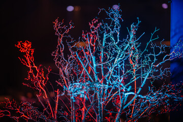 
Illuminated trees at night, with vibrant, synchronized lights, evoke a disco-like ambiance.
