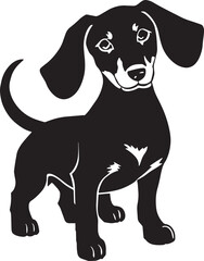  Illustration of a black and white Dachshund, known for its elongated body and short legs. The Dachshund is a breed recognized for its tenacity and playfulness