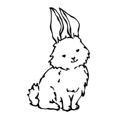 Obraz na płótnie Canvas Line sketch, doodles of a little rabbit, bunny. Vector graphics.