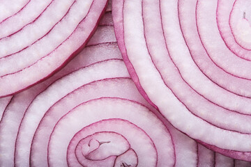 Blue onion rings on macro photograph.