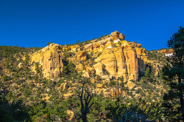 Afternoon view of sandstone cliffs  framed by foliage near Grants New Mexico