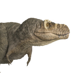 tyrannosaurus rex is walking in close up side view
