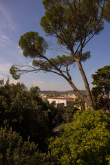 View over Rome