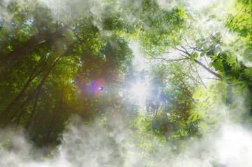 H2 eco Renewable energy symbol on green nature