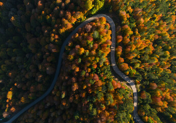 Autumn Season in the Yedigöller National Park Drone Photo, Bolu Turkey (Turkiye) 