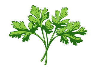 Doodle Parsley sprig, cartoon sticker, sketch, vector, Illustration, minimalistic