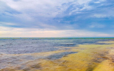 Tropical mexican beach clear turquoise water Playa del Carmen Mexico.