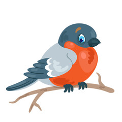 Funny little bullfinch sits on a branch. In cartoon style. Isolated on white background. Vector flat illustration. 