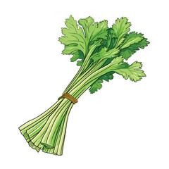 Hand Drawn Flat Color Celery Illustration
