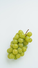 日本産のシャインマスカット