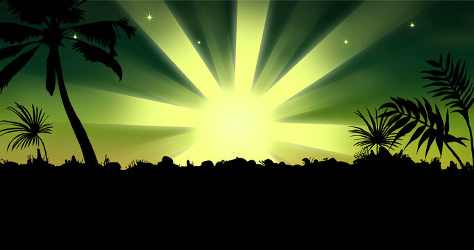 Composition of silhouette of tropical palm trees and shooting star on green background