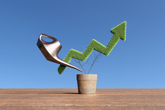 Watering can irrigating a pot of plant having a green up arrow shaped bush. Illustration of the concept of growth of wealth and contribution to bank savings and investment portfolio