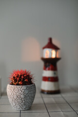 Christmas or New Year decoration composition with a red cactus and a burning candle in candlestick