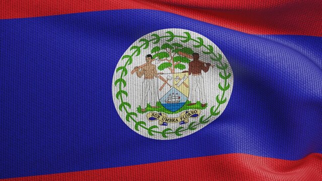 Belize Flag photo texture