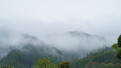 濃霧の山｜日本の自然風景