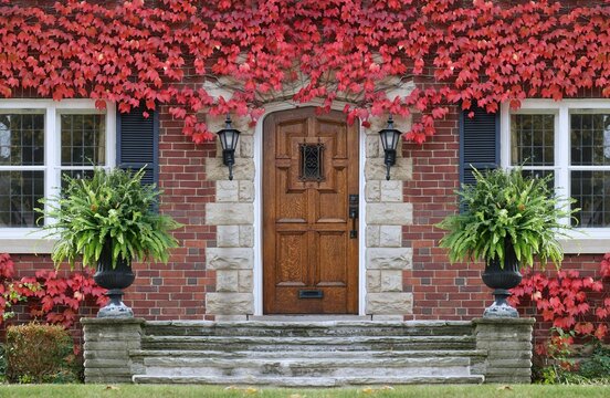 House with elegant wood grain front door and red ivy in fall