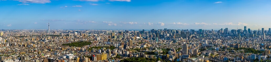 Fototapeta na wymiar Ultra Panoramic view of Greater Tokyo area at daytime.