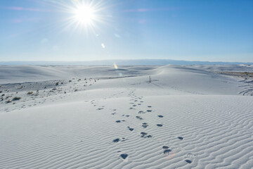 footprints across white sand dunes