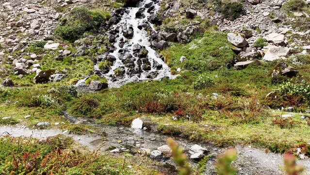 Mountain creek running down in Makalu Barun National Park near Kothe settlement. Mera peak climbing route, Himalayas, Nepal.