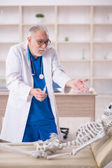 Old male doctor and skeleton patient in the clinic