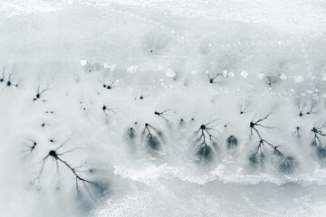 Aerial top-down winter view of frozen lake surface, ice texture with cracks, underwater streams spots.
