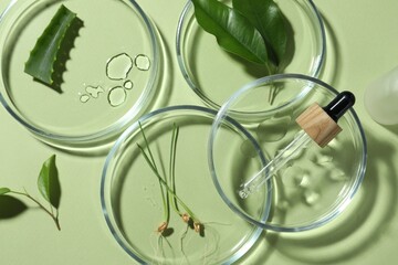 Flat lay composition with Petri dishes and plants on pale light green background