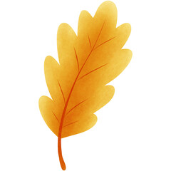maple leaf