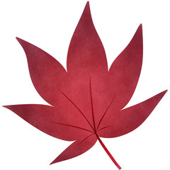 red and white flower