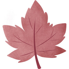 red maple leaf