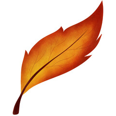 autumn leaf isolated on white