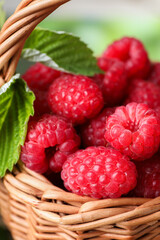 Tasty ripe raspberries and green leaves in wicker basket, closeup