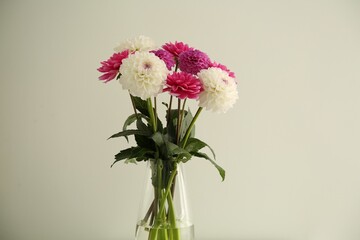Bouquet of beautiful Dahlia flowers in vase near white wall
