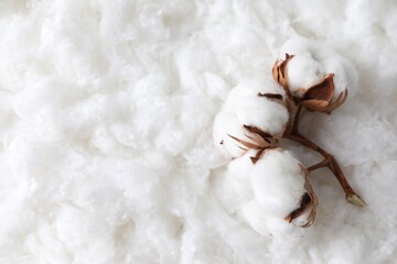 Soft flowers on clean cotton, top view. Space for text