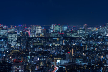 Fototapeta na wymiar Panoramic view of the Greater Tokyo area at dusk.
