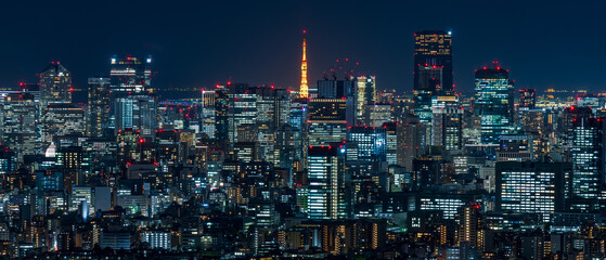 Cityscape of greater Tokyo area with Tokyo tower at dusk. - obrazy, fototapety, plakaty